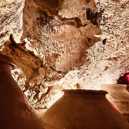 Villa Valeria Casa Con Cueva Privada Del 1748 Requena