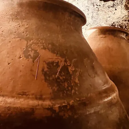 Valeria Casa Con Cueva Privada Del 1748 Requena
